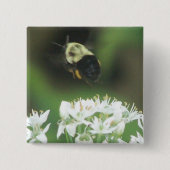 Bee Away Button (Vorderseite)