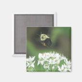Bee Away Magnet (Vorderseite/Rückseite)