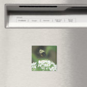 Bee Away Magnet (In Situ (Geschirrspüler))