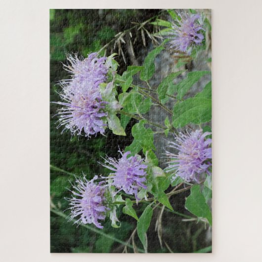 Bee Balm auf der Wiese Puzzle (Vertikal)