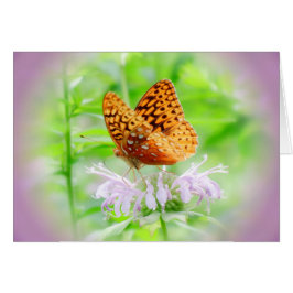 Bee Balm Butterfly - Fritillary