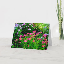 Bee Balm Dankeskarte