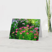 Bee Balm Dankeskarte (Vorderseite)