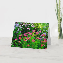 Bee Balm Dankeskarte