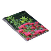Bee Balm Notebook Notizblock (Rechte Seite)