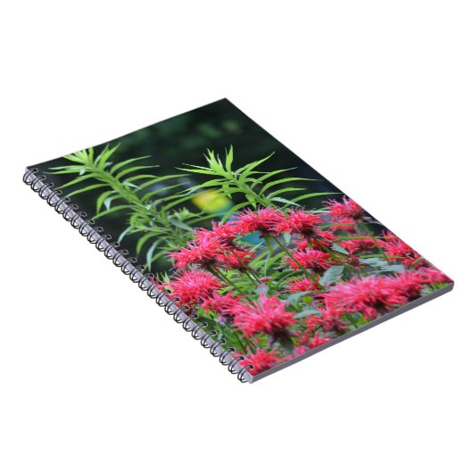 Bee Balm Notebook Notizblock (Rechte Seite)