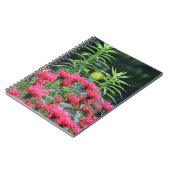 Bee Balm Notebook Notizblock (Linke Seite)