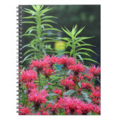 Bee Balm Notebook Notizblock (Vorderseite)