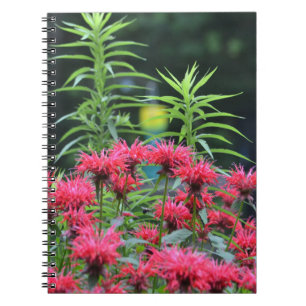 Bee Balm Notebook Notizblock