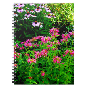 Bee Balm Notizblock