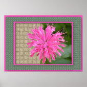 Bee Balm Poster (Vorne)