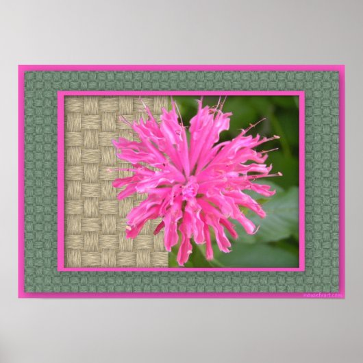 Bee Balm Poster (Vorne)