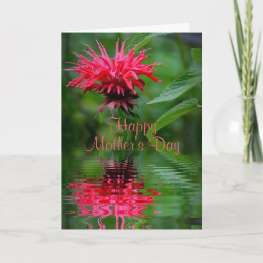 Bee Balm Reflection Mother Day Card Karte (Vorderseite)