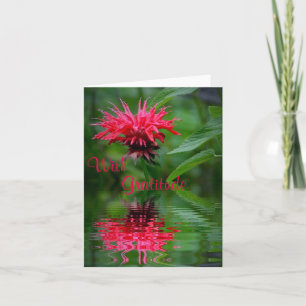 Bee Balm Reflektion Danke Karte