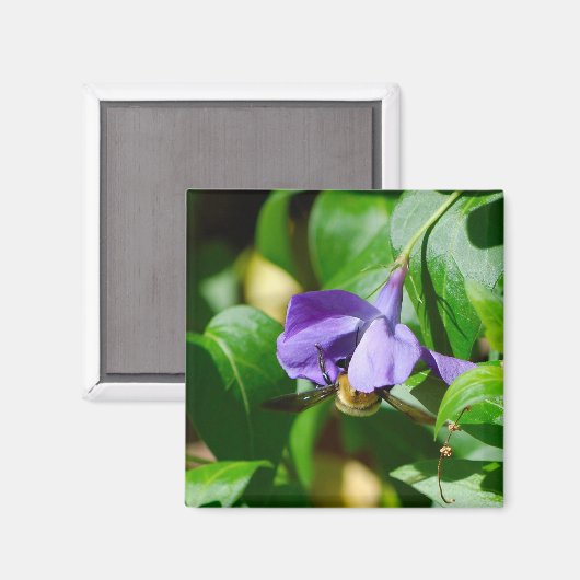 Bee Busy Magnet (Vorderseite/Rückseite)