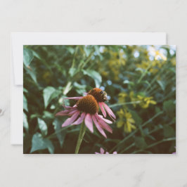 Bee & Coneflower Photo Reprint Einladung