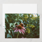 Bee & Coneflower Photo Reprint Einladung (Vorne/Hinten)