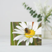 Bee & Daisy Postcard Postkarte (Stehend Vorderseite)