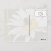 Bee & Daisy Postcard Postkarte (Rückseite)