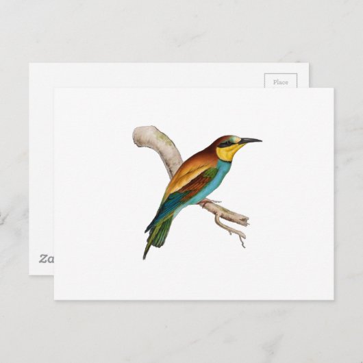 Bee Eater Postkarte (Vorne/Hinten)
