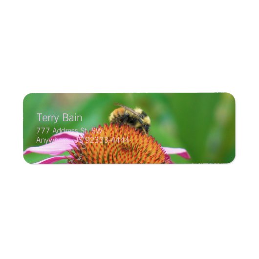 Bee Echinacea (Vorne)