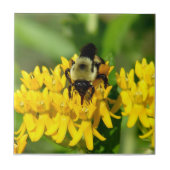 Bee Feasting on Butterfly Weed Wildflowers Fliese (Vorderseite)
