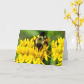 Bee Feasting on Butterfly Weed Wildflowers Karte (Gelbe Blume)
