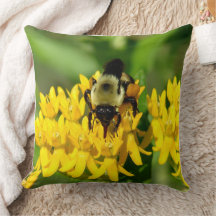 Bee Feasting on Butterfly Weed Wildflowers