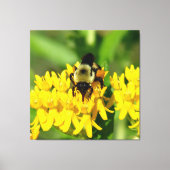 Bee Feasting on Butterfly Weed Wildflowers Leinwanddruck (Vorderseite)