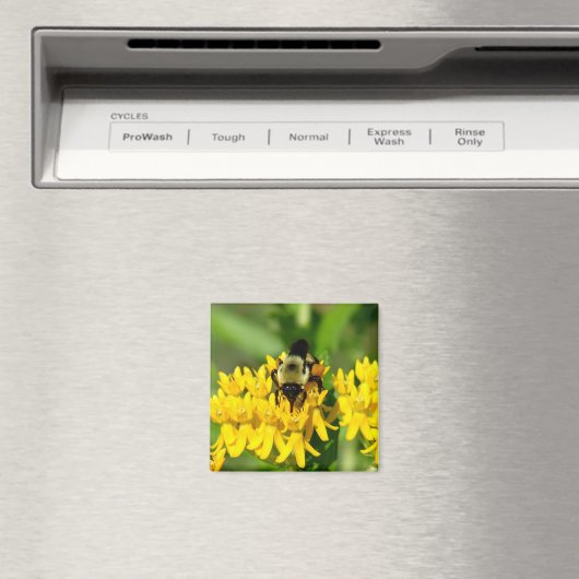 Bee Feasting on Butterfly Weed Wildflowers Magnet (In Situ (Geschirrspüler))