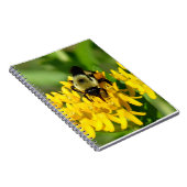 Bee Feasting on Butterfly Weed Wildflowers Notizblock (Rechte Seite)