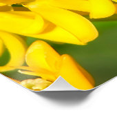 Bee Feasting on Butterfly Weed Wildflowers Poster (Ecke)