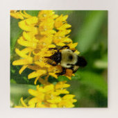 Bee Feasting on Butterfly Weed Wildflowers Puzzle (Horizontal)