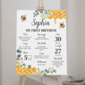 Bee First Birthday Milestone Sign Poster