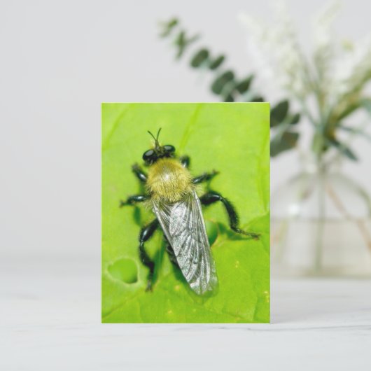 Bee Fly Postcard Postkarte (Stehend Vorderseite)