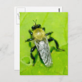 Bee Fly Postcard Postkarte (Vorne/Hinten)
