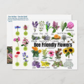 Bee-Friendly-Blume Postkarte (Vorne/Hinten)