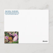 Bee-Friendly-Blume Postkarte (Rückseite)