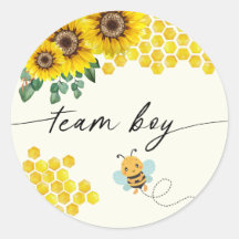 Bee Gender Reveal Party Team Boy