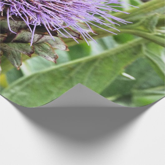 BEE GESCHENKPAPIER (Ecke)