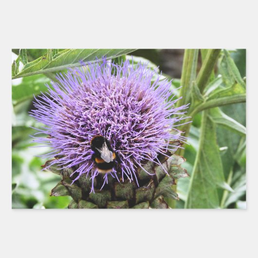 BEE GESCHENKPAPIER SET (Vorderseite 2)