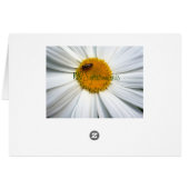 Bee Happy Daisy Card (Rückseite Horizontal)
