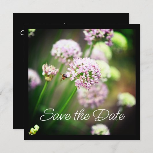 Bee Happy mit Lila Diagonal Allium Blume (Vorne/Hinten)