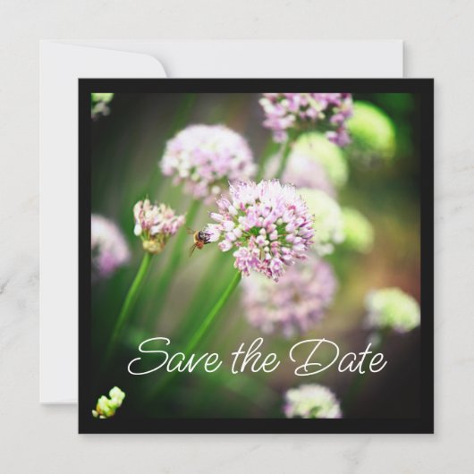 Bee Happy mit Lila Diagonal Allium Blume (Vorderseite)