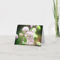 Bee Happy mit Lila Diagonal Allium Blume