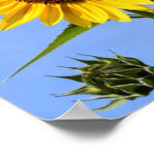 Bee Happy. Poster (Ecke)