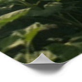 Bee Happy. Poster (Ecke)