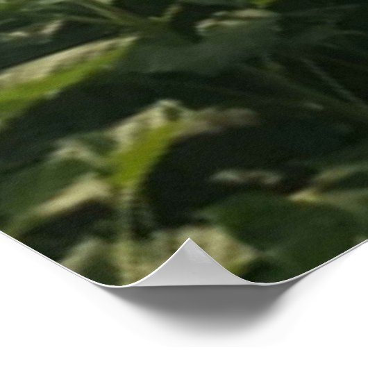 Bee Happy. Poster (Ecke)