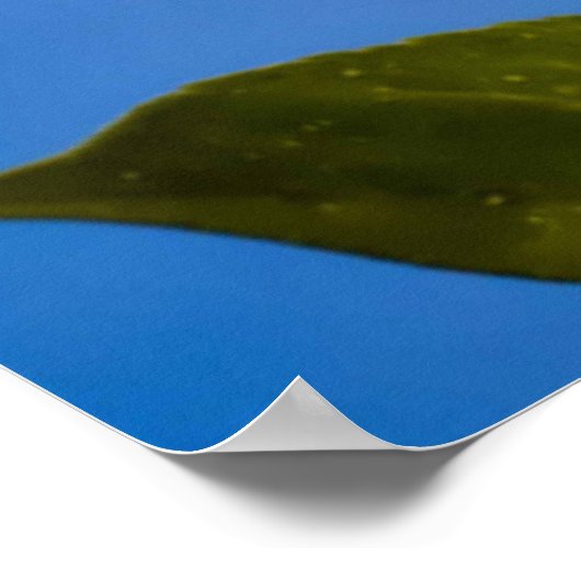 Bee Happy. Poster (Ecke)