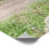 Bee Happy. Poster (Ecke)